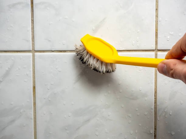 Best Affordable Mold Removal  in Hampstead, MD
