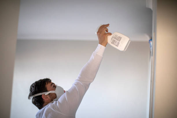 Best Residential Mold Removal  in Hampstead, MD