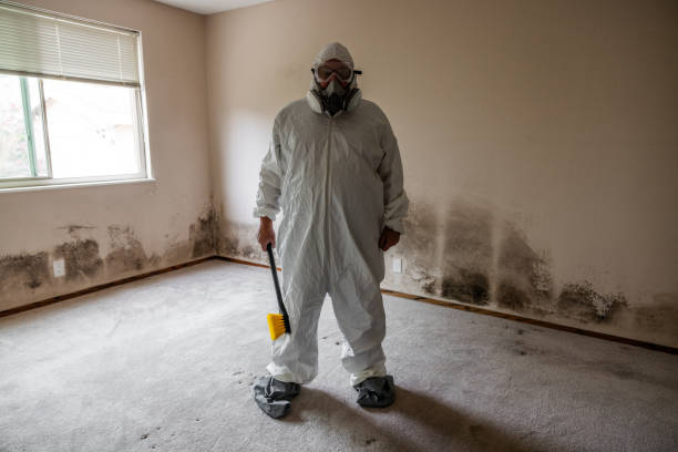 Crawl Space Mold Removal in Hampstead, MD